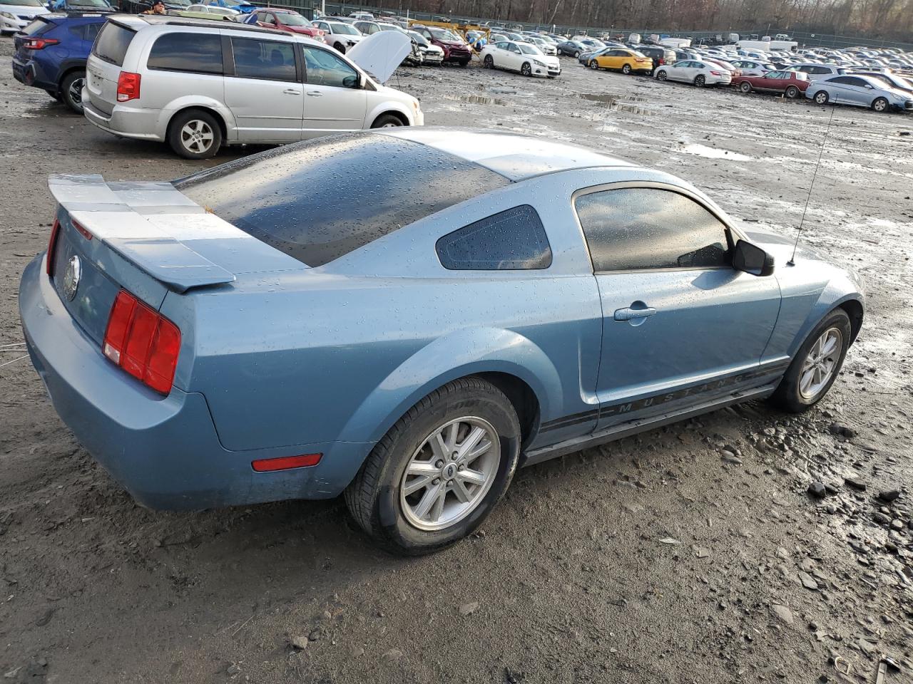 Lot #2969590660 2007 FORD MUSTANG