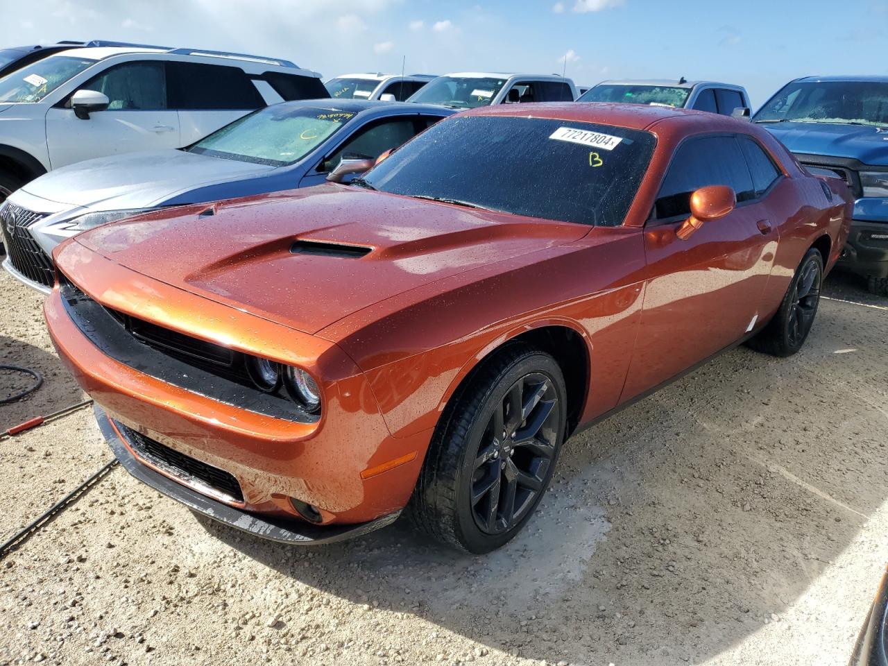 Lot #2990733983 2022 DODGE CHALLENGER