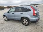 HONDA CR-V EX photo