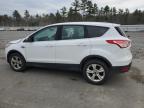 Lot #3023870812 2016 FORD ESCAPE SE