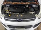 Lot #3025146243 2013 FORD ESCAPE SE