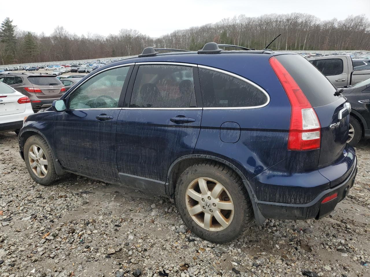 Lot #3006312483 2007 HONDA CR-V EXL