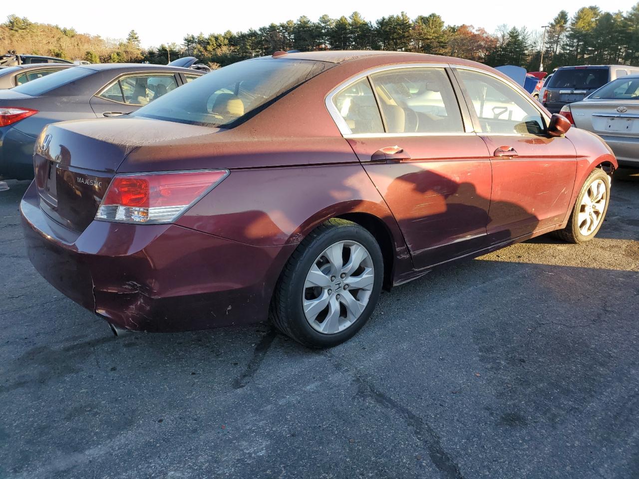 Lot #3019599753 2010 HONDA ACCORD EXL