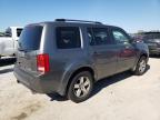 HONDA PILOT EXL photo