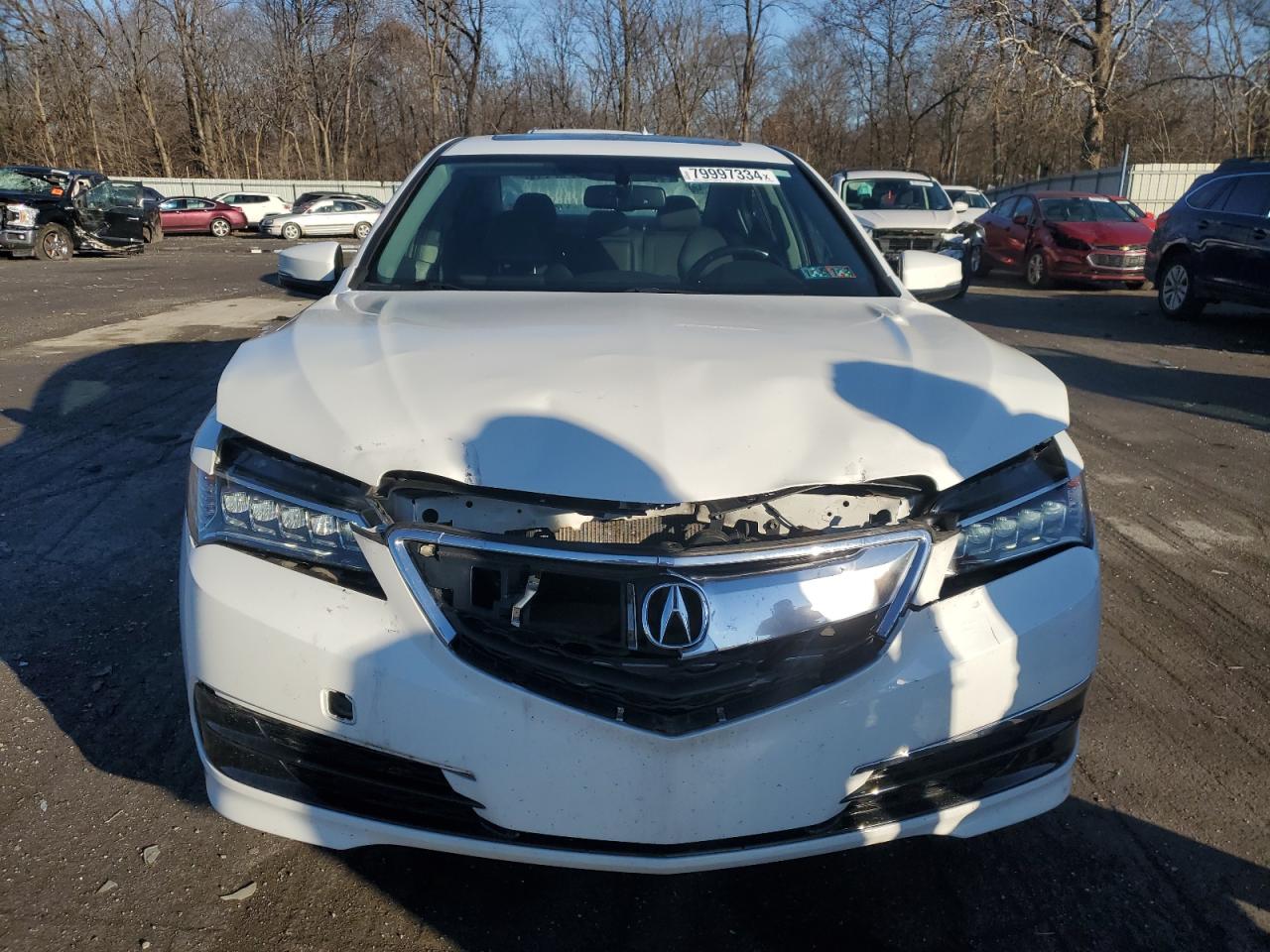 Lot #2996561758 2017 ACURA TLX