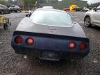 Lot #3024627757 1981 CHEVROLET CORVETTE