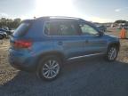 VOLKSWAGEN TIGUAN WOL photo