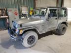 Lot #3009214502 2002 JEEP WRANGLER /