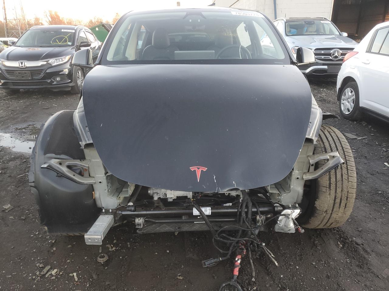 Lot #3037246486 2023 TESLA MODEL Y