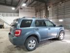 Lot #3024398542 2011 FORD ESCAPE XLT