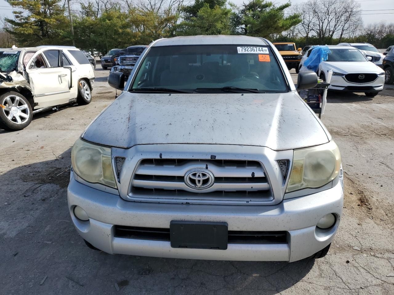 Lot #2976614564 2006 TOYOTA TACOMA DOU