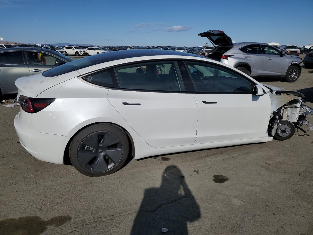 Lot #2991866243 2023 TESLA MODEL 3