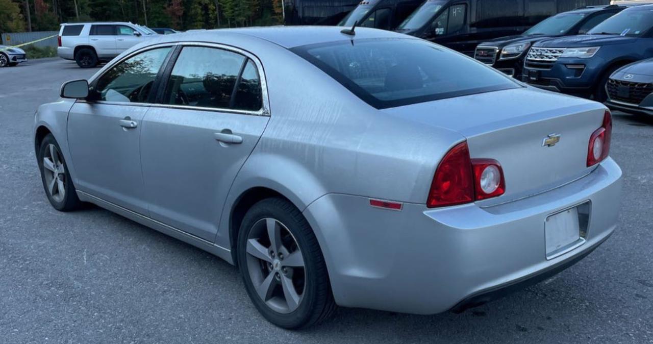 Lot #2991534122 2011 CHEVROLET MALIBU 1LT