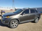 KIA SORENTO EX photo