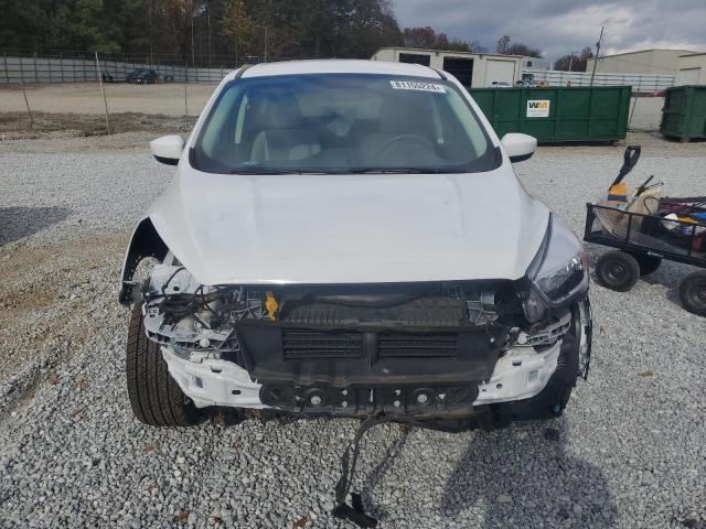 2019 FORD ESCAPE SE - 1FMCU0GD5KUA11027