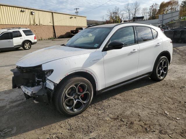 2024 ALFA ROMEO STELVIO TI #3034280083