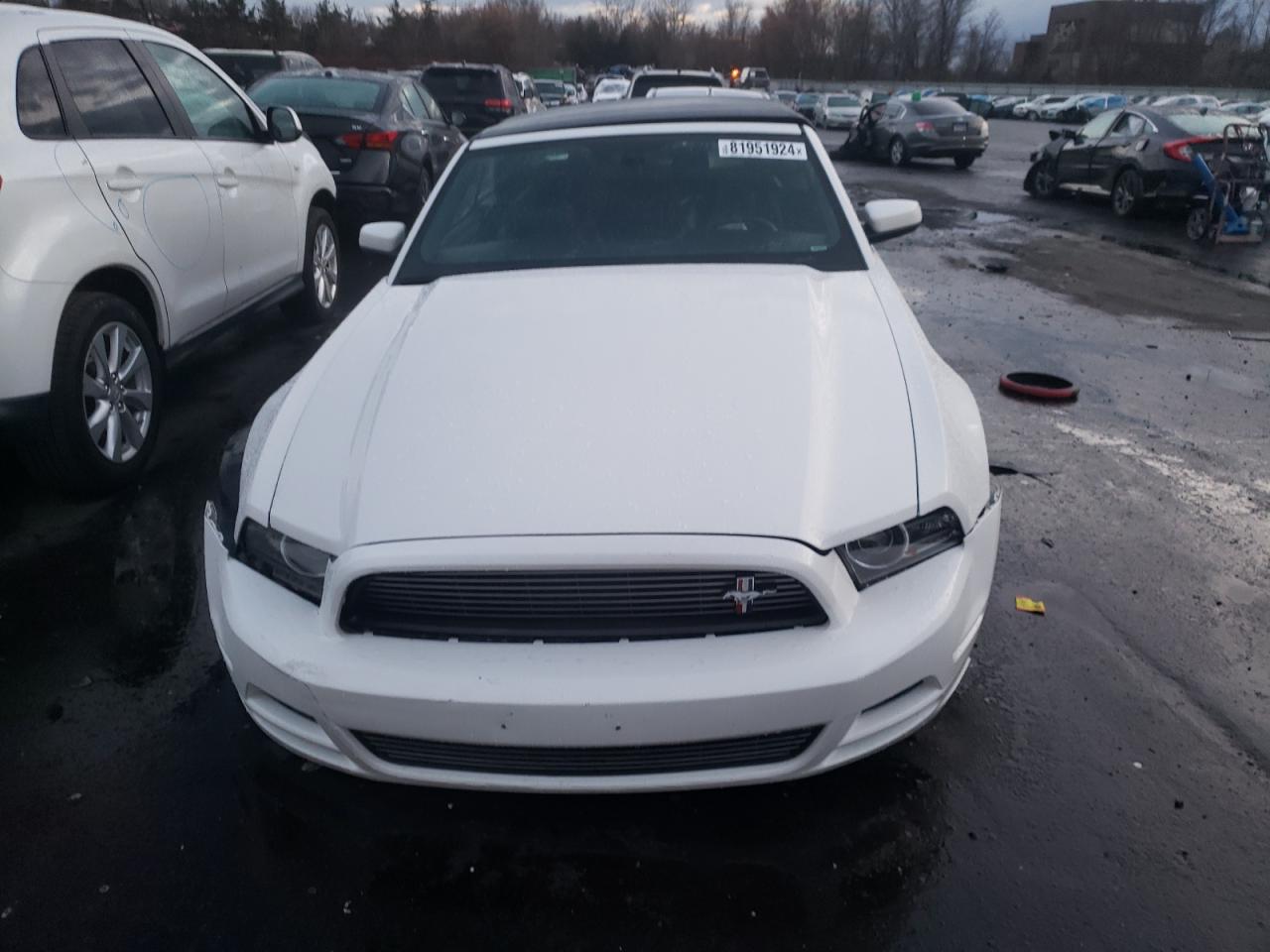 Lot #3034279151 2013 FORD MUSTANG