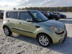 KIA SOUL + photo