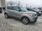 KIA SOUL + photo