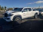 2021 TOYOTA TACOMA DOU - 3TMDZ5BN9MM104325
