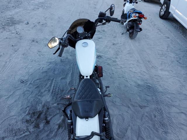 2019 HARLEY-DAVIDSON XL1200 NS 1HD1LP313KC403558