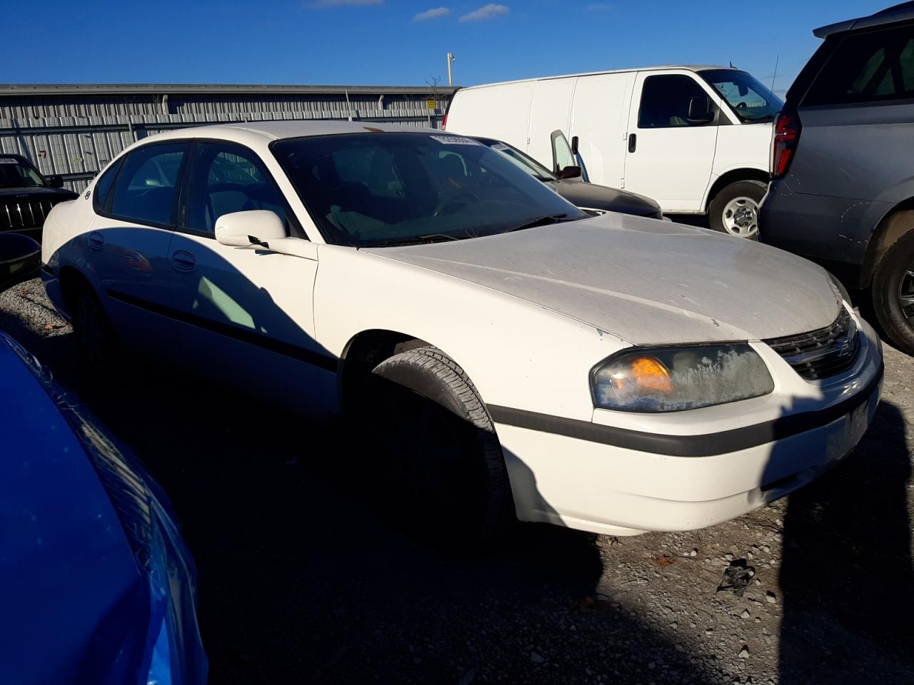 Lot #2989025524 2005 CHEVROLET IMPALA