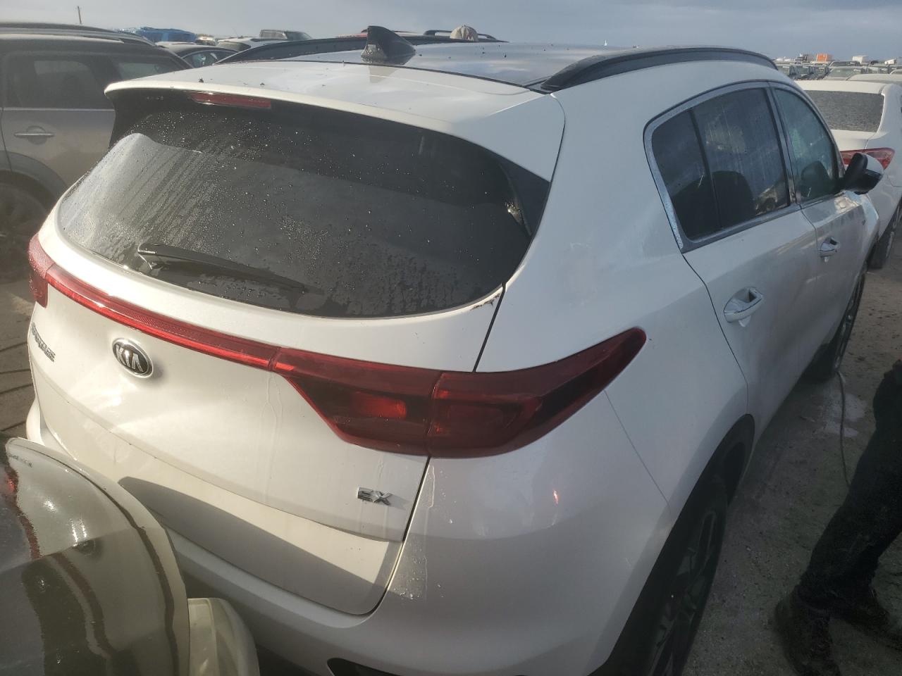 Lot #2972460886 2022 KIA SPORTAGE E