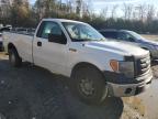 Lot #3023917203 2011 FORD F150