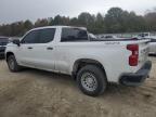 Lot #3027124889 2021 CHEVROLET SILVERADO