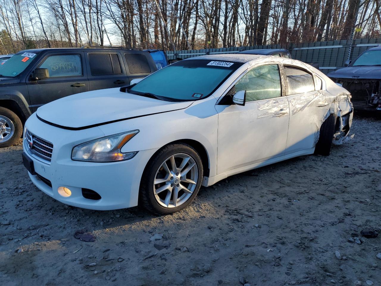 Lot #2991727013 2011 NISSAN MAXIMA S