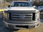 Lot #3023917203 2011 FORD F150