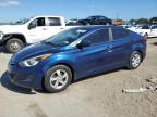 HYUNDAI ELANTRA SE photo