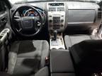 FORD ESCAPE XLT photo