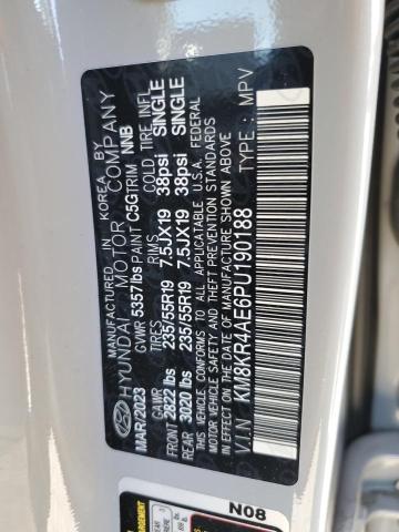 2023 HYUNDAI IONIQ 5 LI - KM8KR4AE6PU190188
