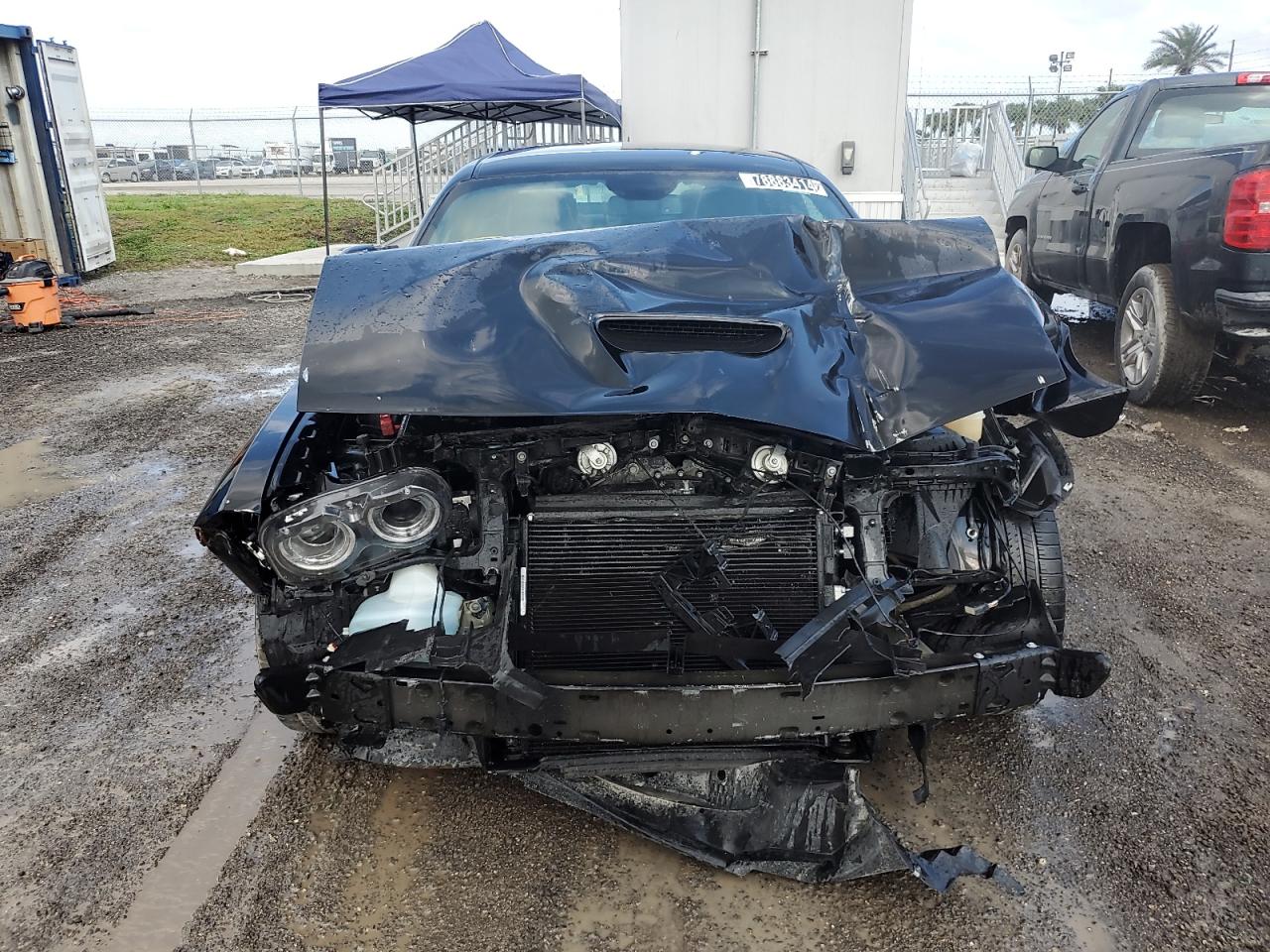 Lot #2978336006 2022 DODGE CHALLENGER