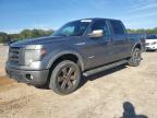 Lot #3025041178 2013 FORD F150 SUPER