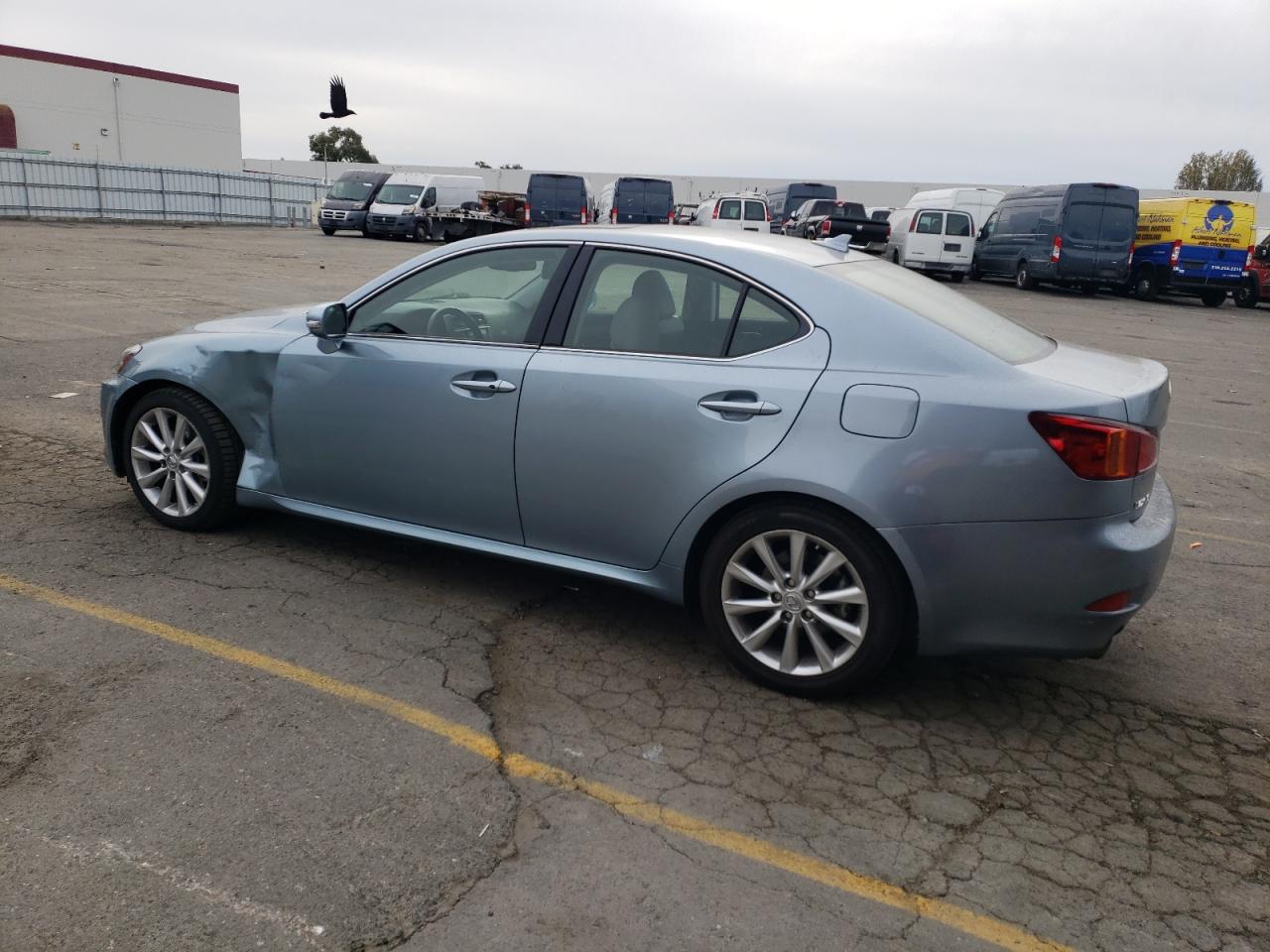 Lot #3030386478 2009 LEXUS IS 250