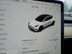 Lot #2993528206 2021 TESLA MODEL Y