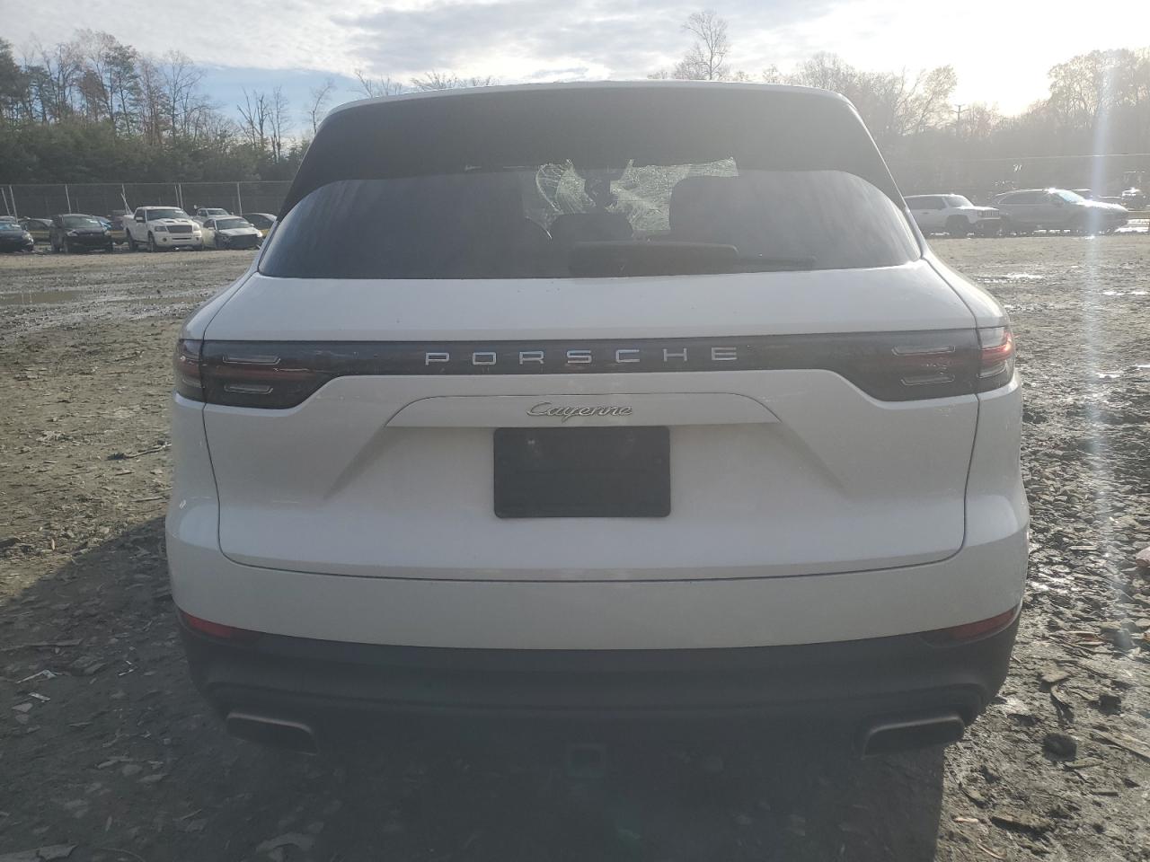 Lot #3029578084 2019 PORSCHE CAYENNE