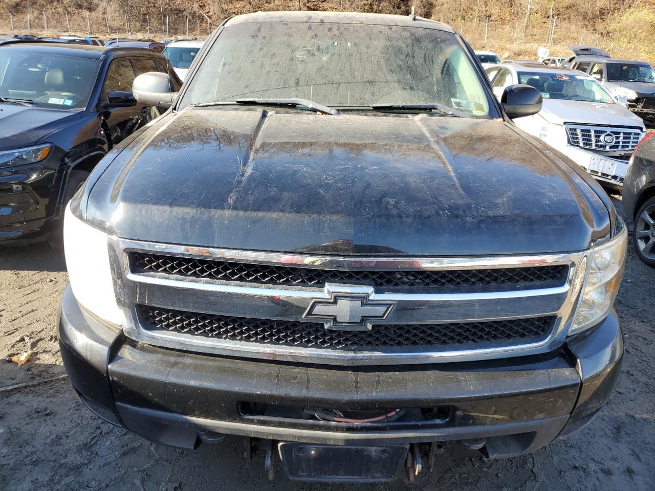 Lot #3036942749 2011 CHEVROLET SILVERADO