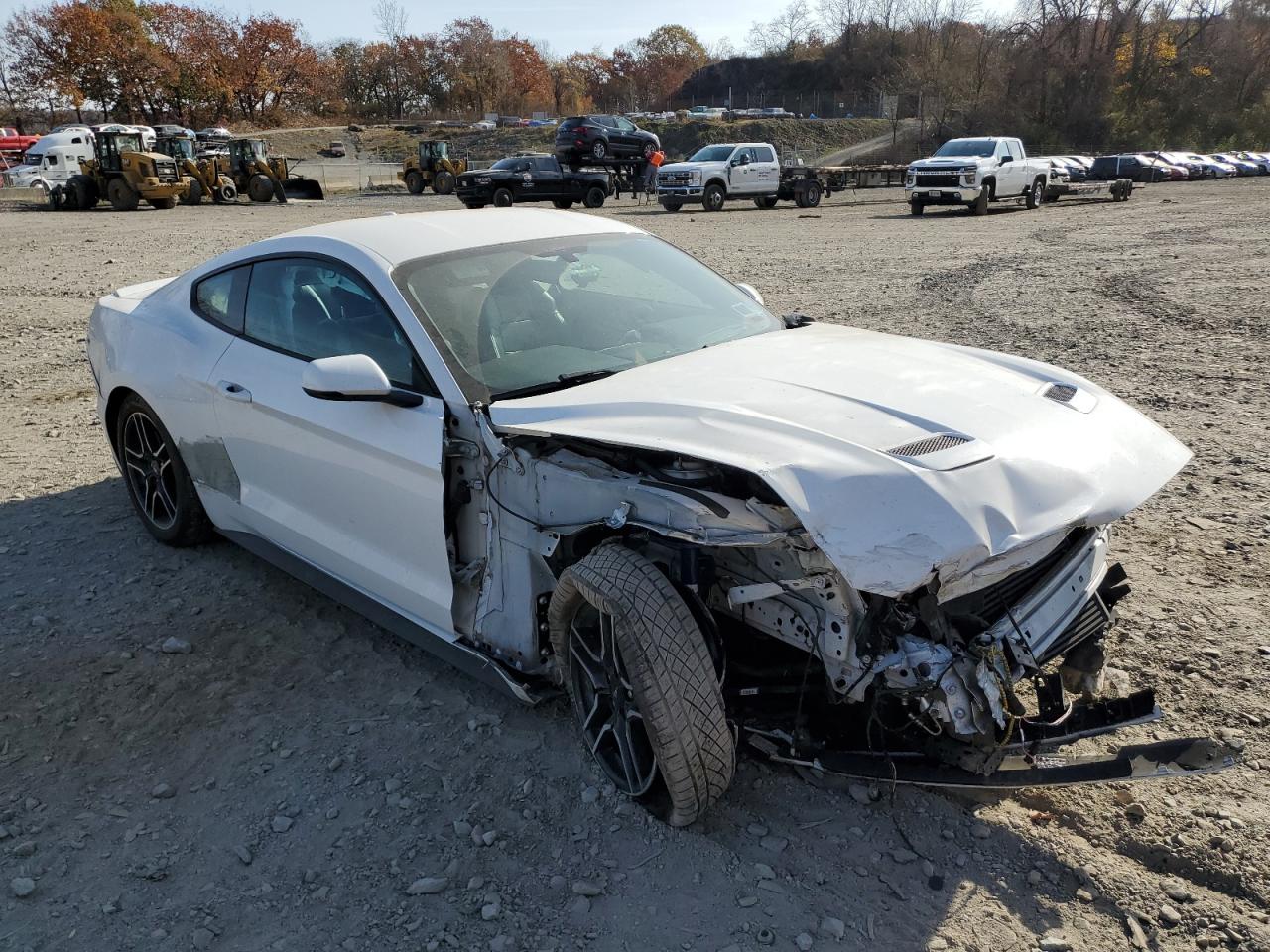 Lot #2954649408 2020 FORD MUSTANG