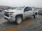 Lot #3024059658 2021 CHEVROLET SILVERADO