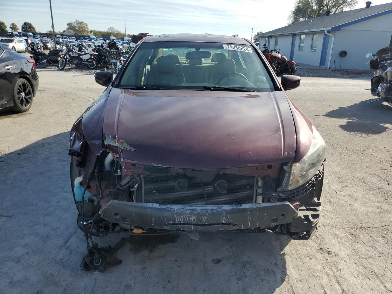 Lot #3019559752 2010 HONDA ACCORD EXL