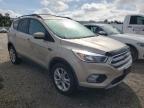 FORD ESCAPE SE снимка