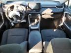 Lot #3023295915 2021 TOYOTA RAV4 XLE