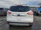 Lot #3023173276 2015 FORD ESCAPE TIT