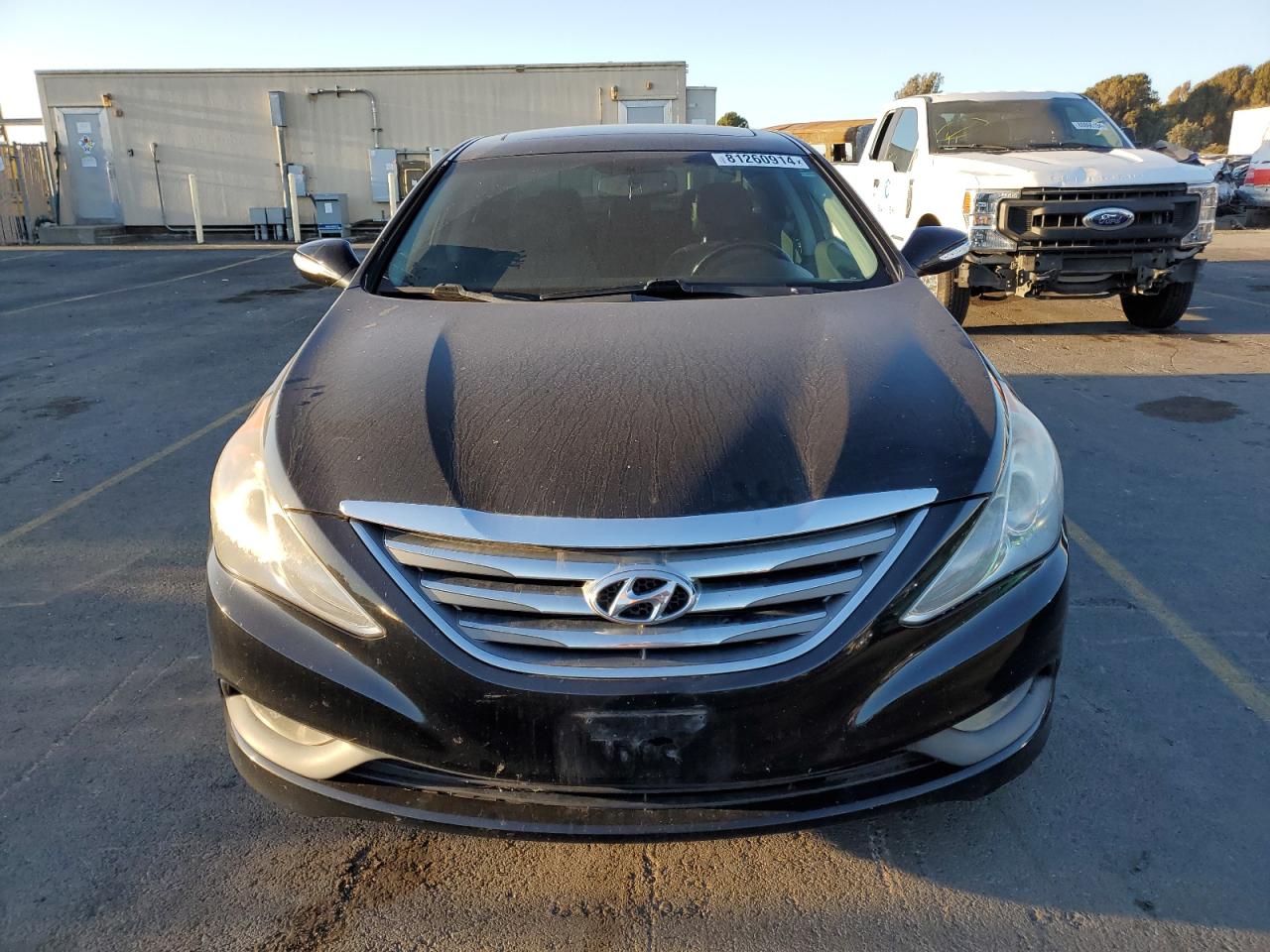 Lot #3033417099 2014 HYUNDAI SONATA SE