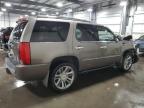 Lot #3023967206 2014 CADILLAC ESCALADE P