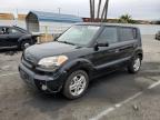 KIA SOUL + photo