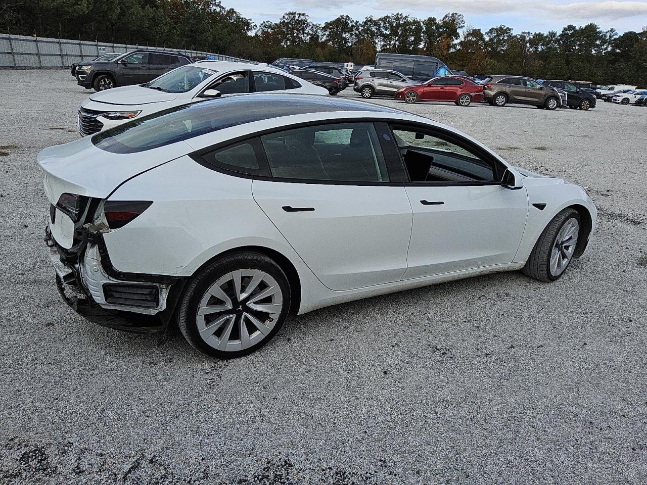 Lot #2991303117 2023 TESLA MODEL 3